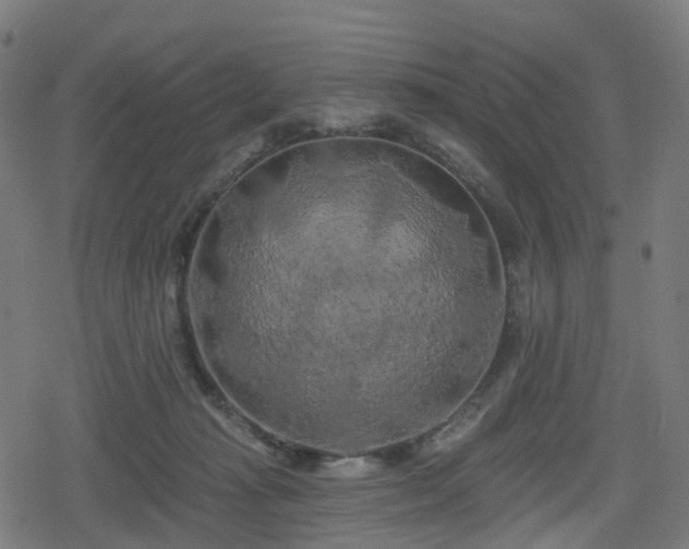 X0000078290269200611101116