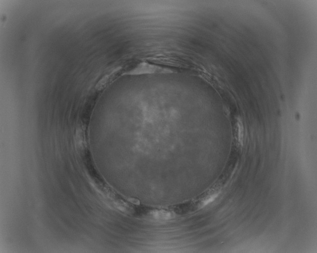 X0000078290272200611101116