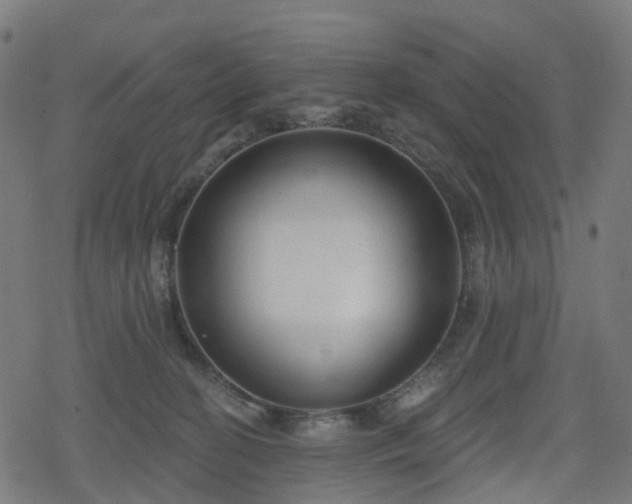 X0000078290274200611101116