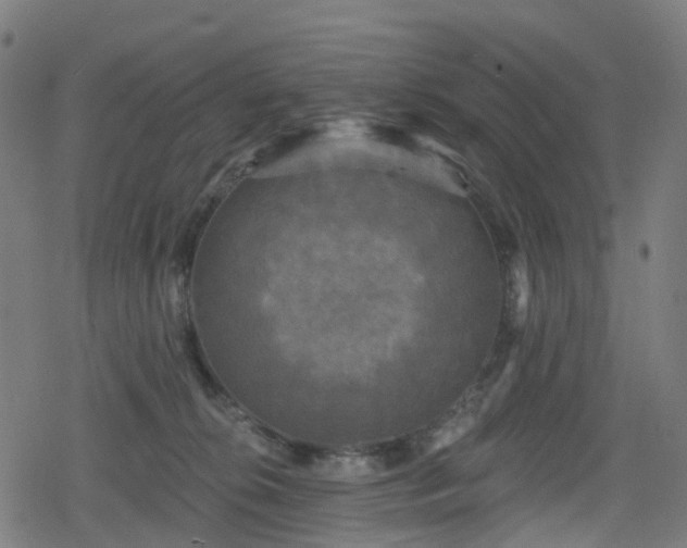 X0000078290276200611101116