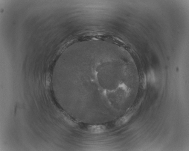 X0000078290277200611101116