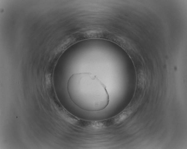 X0000078290278200611101116