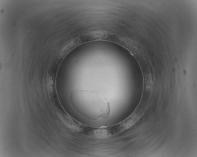 X0000078290279200611101116