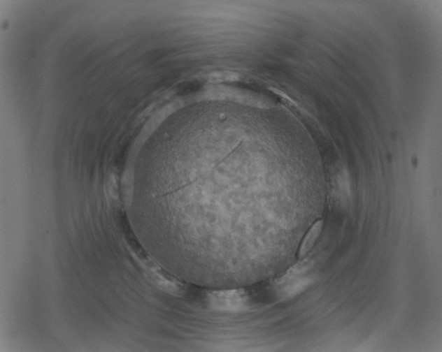 X0000078290281200611101116