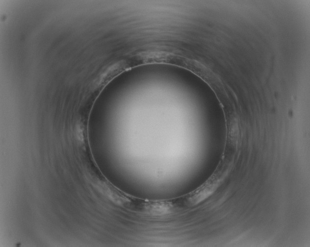 X0000078290282200611101116