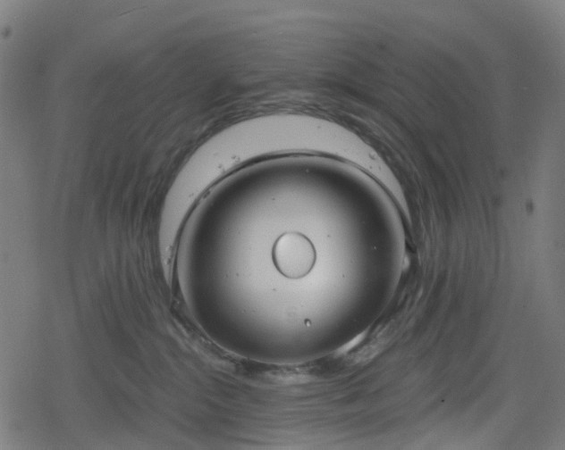 X0000078290284200611101116