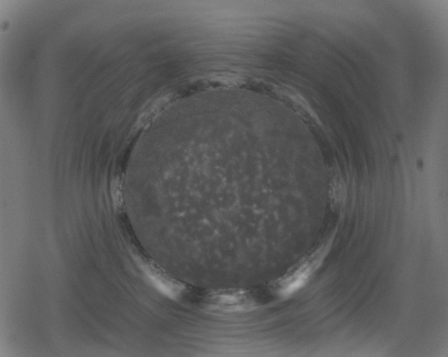 X0000078290285200611101116