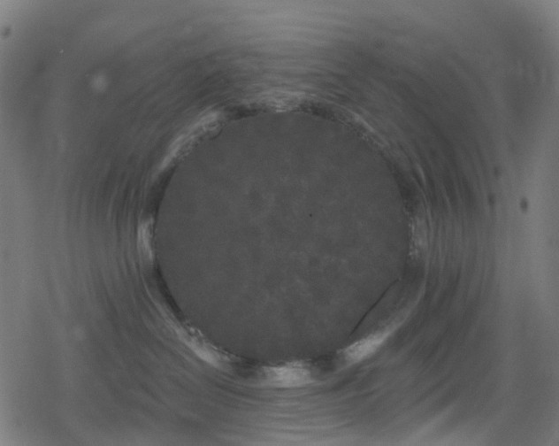 X0000078290286200611101116