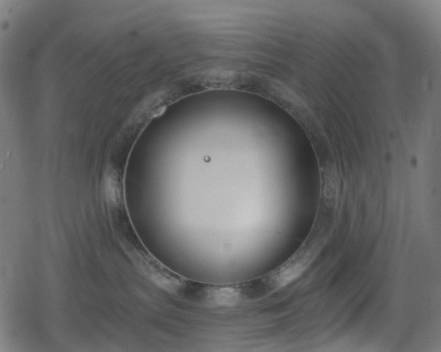 X0000078290287200611101116