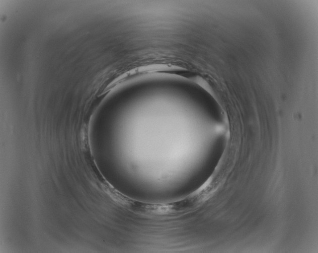 X0000078290288200611101116