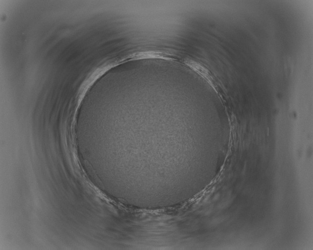 X0000078290289200611101115