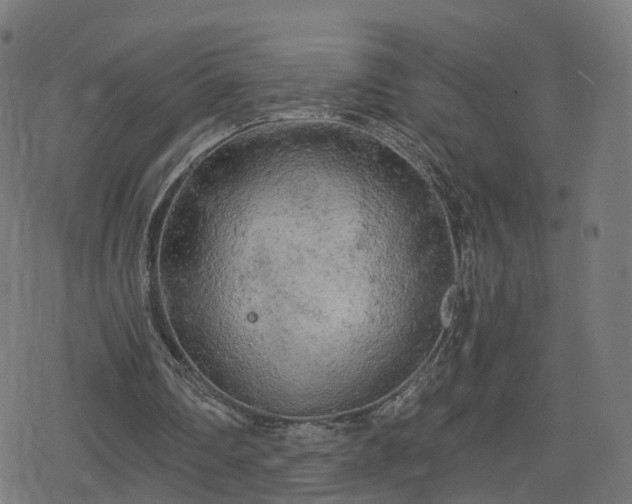 X0000078290290200611101115