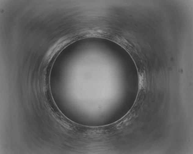 X0000078290291200611101115