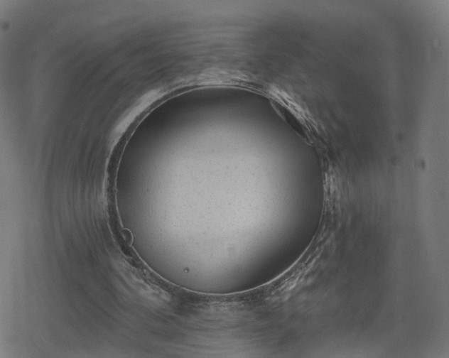 X0000078290292200611101115