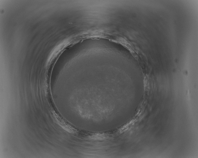 X0000078290293200611101115