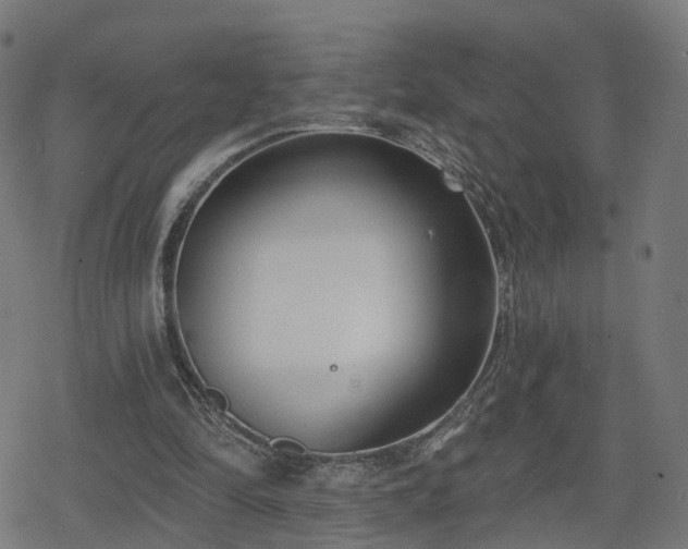 X0000078290294200611101115