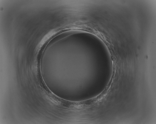 X0000078290295200611101115