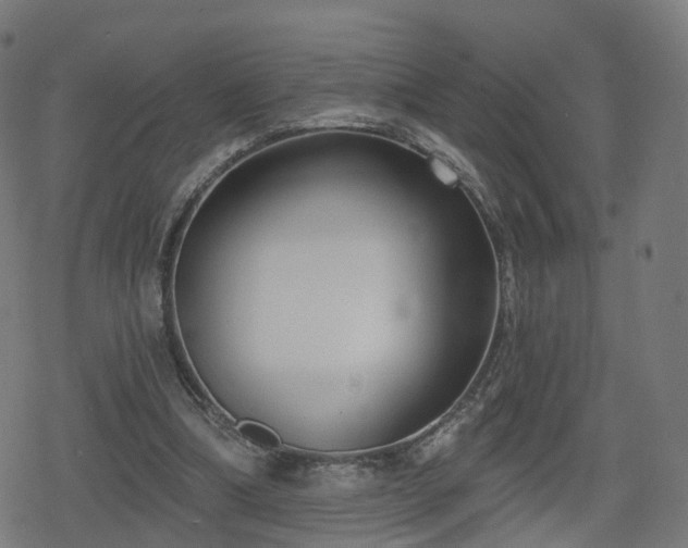 X0000078290298200611101115