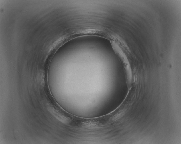 X0000078290300200611101115