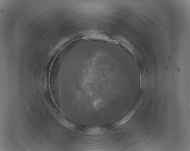 X0000078290301200611101115