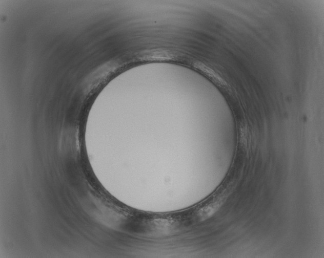 X0000078290302200611101115