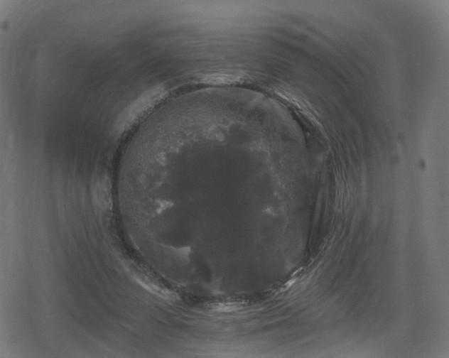 X0000078290303200611101115