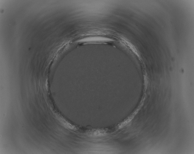 X0000078290305200611101115