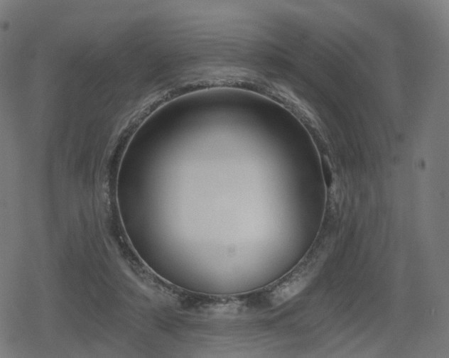 X0000078290306200611101115