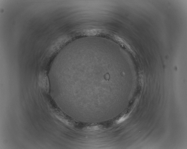 X0000078290307200611101115