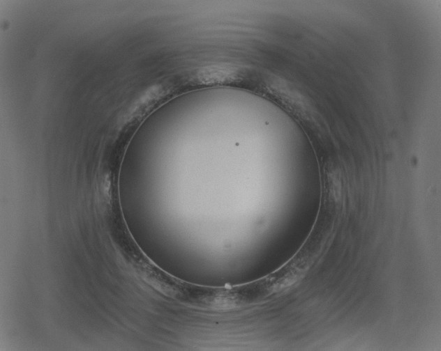 X0000078290308200611101115