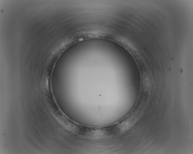 X0000078290310200611101115