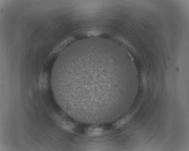 X0000078290311200611101115