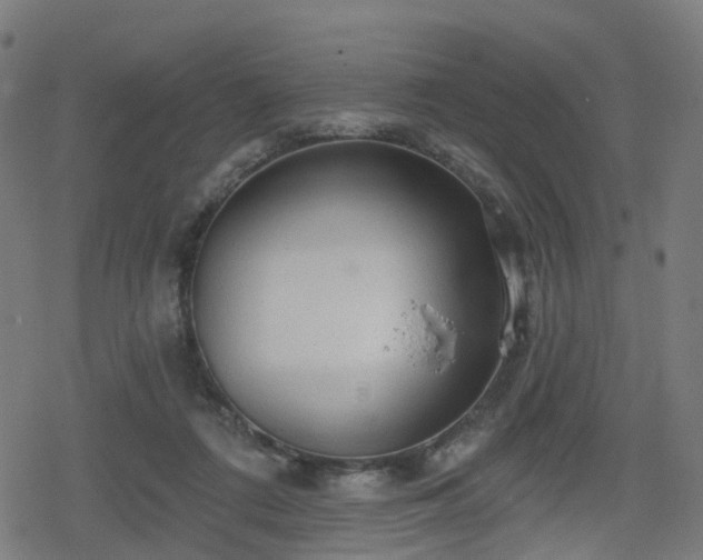 X0000078290312200611101115