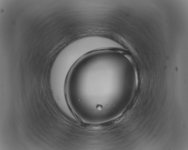 X0000078290313200611101115