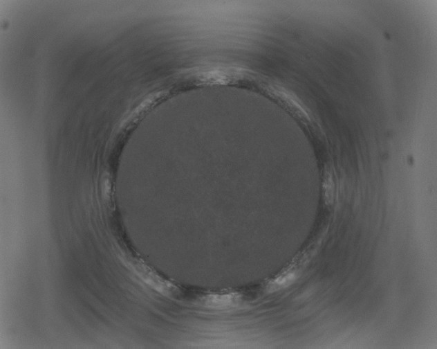 X0000078290314200611101115