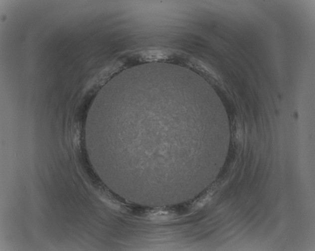 X0000078290315200611101115