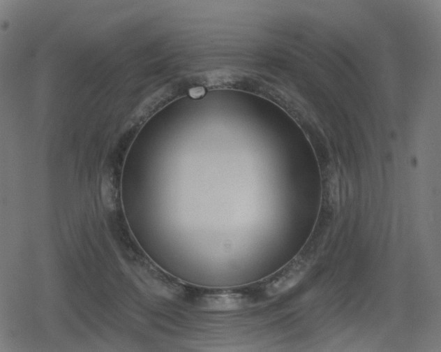 X0000078290316200611101115