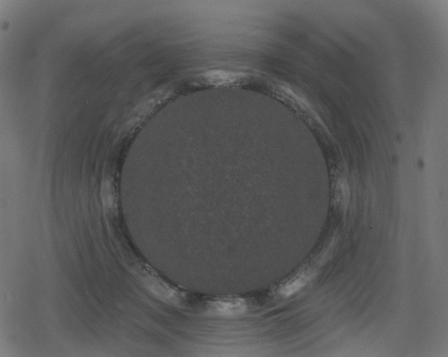 X0000078290317200611101115