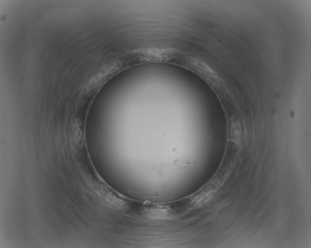 X0000078290318200611101115