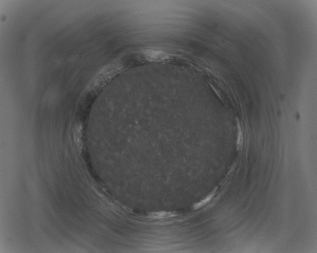 X0000078290319200611101115