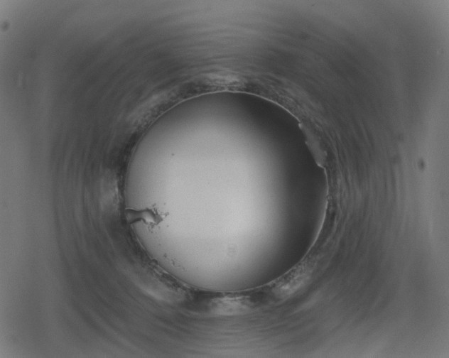 X0000078290320200611101115