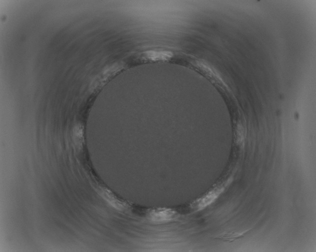 X0000078290321200611101115