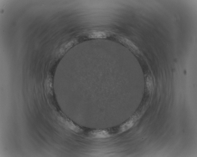 X0000078290322200611101115