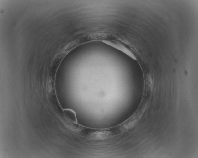 X0000078290323200611101115