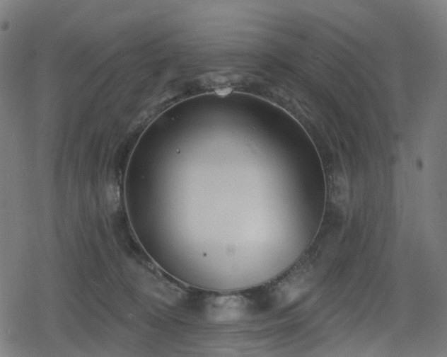 X0000078290324200611101115