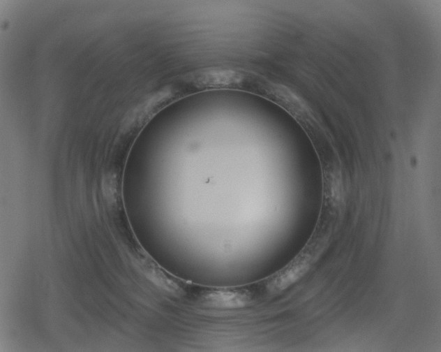 X0000078290326200611101115