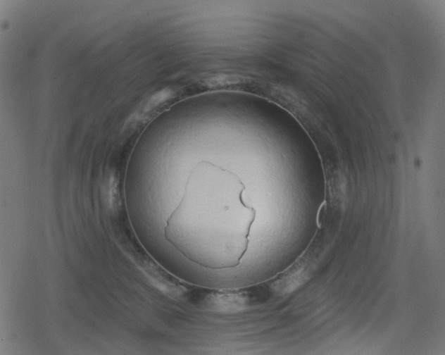 X0000078290327200611101115