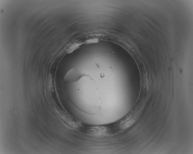 X0000078290328200611101115