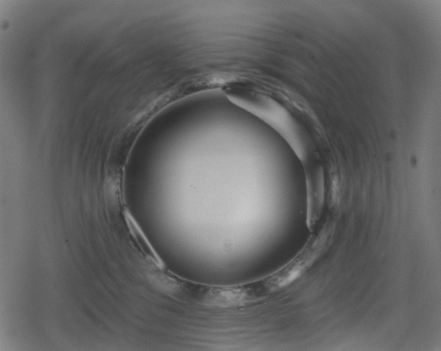 X0000078290329200611101115