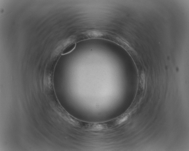 X0000078290330200611101115